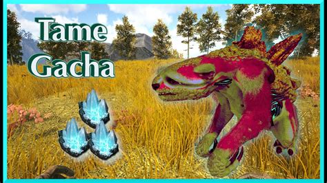 ark gacha|how to tame a gacha ark.